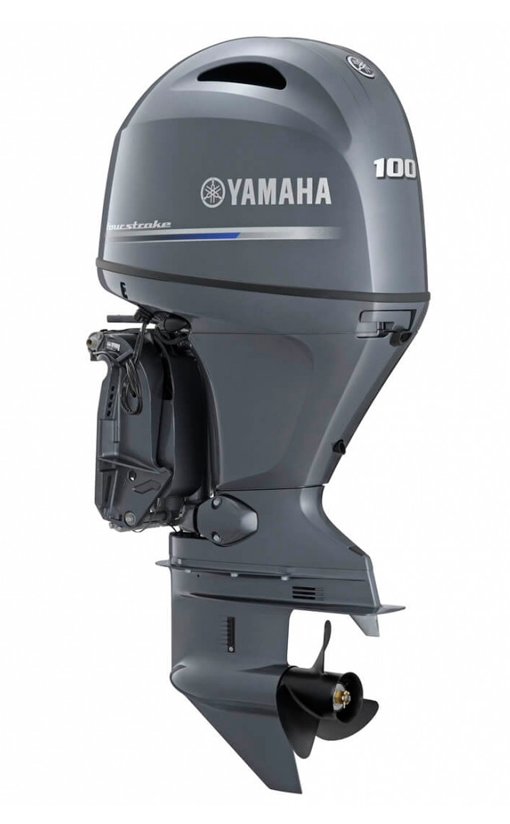 Yamaha F100 FETL
